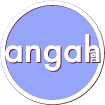 Angah Network
